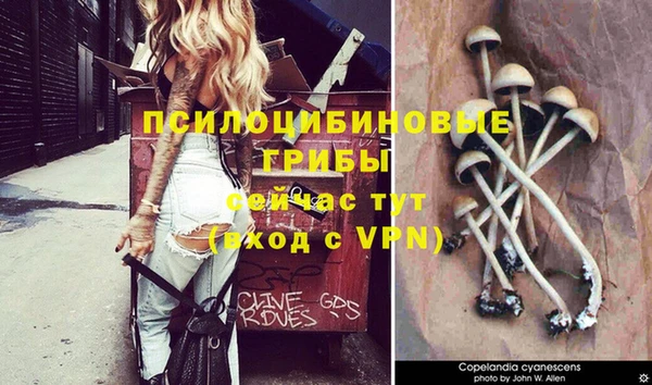 экстази Богородск